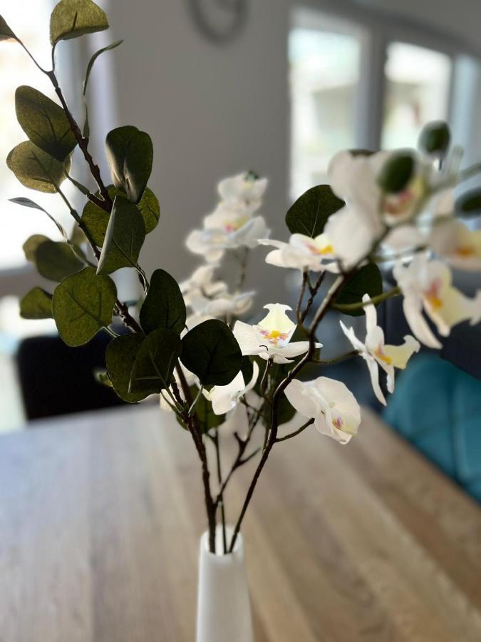 Modern Apartment Mainz By Pma 外观 照片